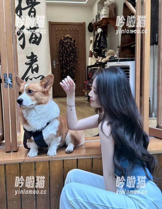 吃瓜不止于口，娱乐718直达社会瓜网带你探寻八卦的深处。