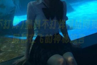 黑料不打烊网站网页版，满屏都在飞的神秘流言