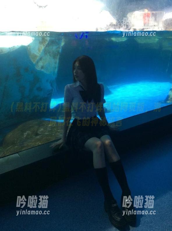 黑料不打烊网站网页版，满屏都在飞的神秘流言