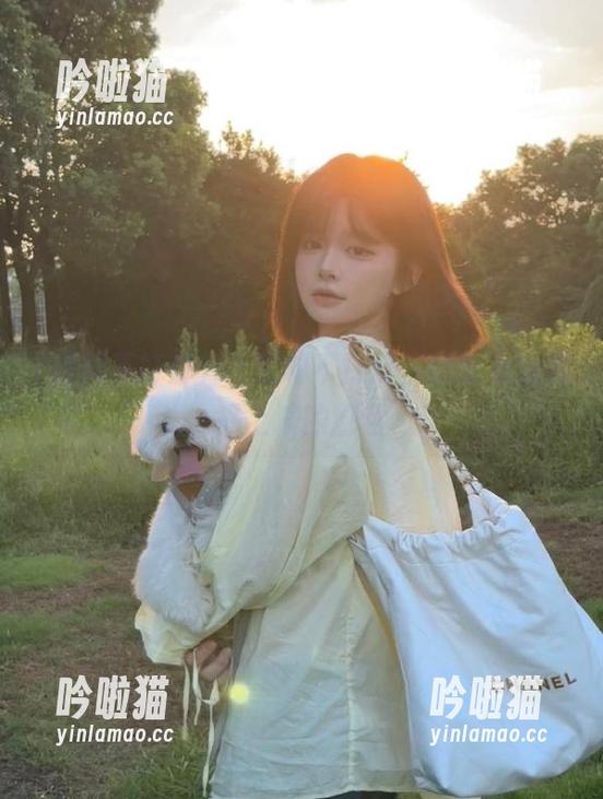 黑料不打烊 51黑料不打烊,观看心机妥妥上演的剧目