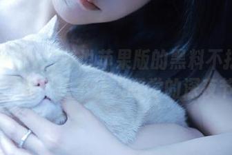 听说苹果版的黑料不打烊166.su，果然是不让人睡觉的深夜节目？
