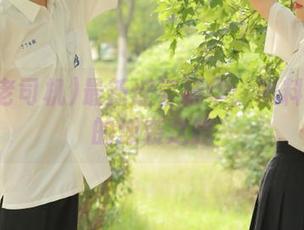 最新谣言精华：黑料老司机的逆袭之路
